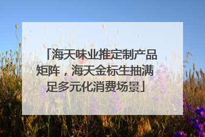 海天味业推定制产品矩阵，海天金标生抽满足多元化消费场景