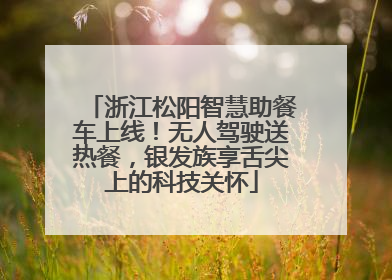 浙江松阳智慧助餐车上线！无人驾驶送热餐，银发族享舌尖上的科技关怀
