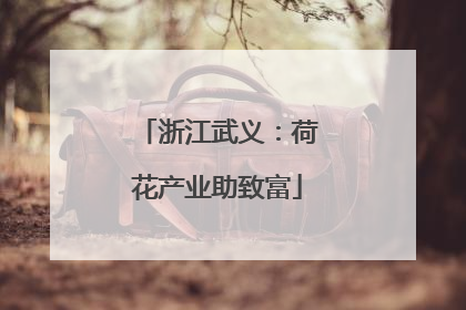 浙江武义：荷花产业助致富