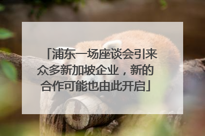 浦东一场座谈会引来众多新加坡企业，新的合作可能也由此开启
