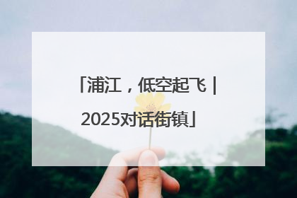 浦江，低空起飞｜2025对话街镇