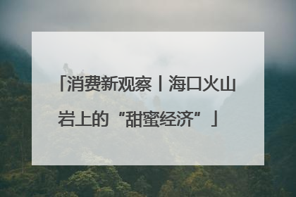 消费新观察丨海口火山岩上的“甜蜜经济”