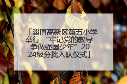 淄博高新区第五小学举行 “牢记党的教导 争做强国少年”2024级分批入队仪式