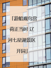 游船观鸟赏荷正当时 辽河七星湖景区开园