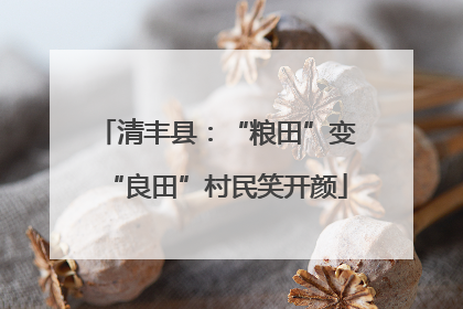 清丰县：“粮田”变“良田”村民笑开颜
