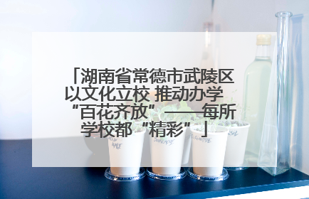 湖南省常德市武陵区以文化立校 推动办学“百花齐放”——每所学校都“精彩”