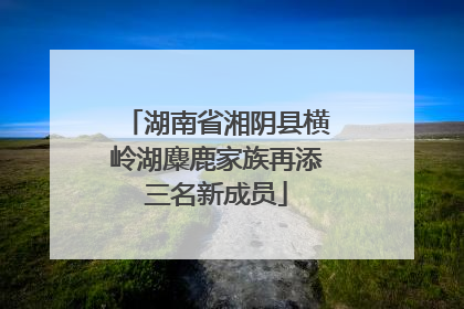 湖南省湘阴县横岭湖麋鹿家族再添三名新成员
