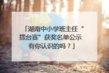 湖南中小学班主任“擂台赛”获奖名单公示 有你认识的吗？