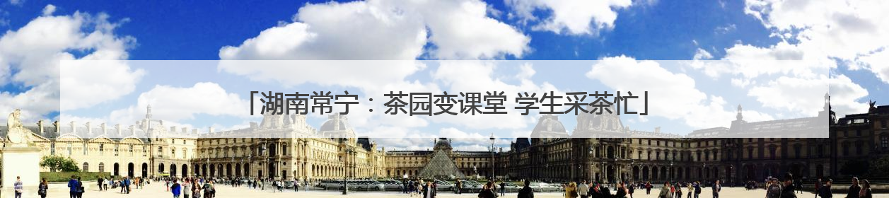 湖南常宁：茶园变课堂 学生采茶忙