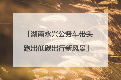 湖南永兴公务车带头跑出低碳出行新风景