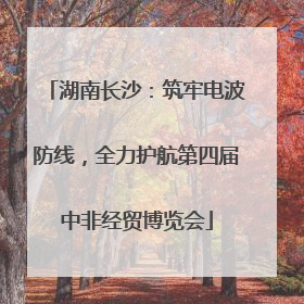 湖南长沙：筑牢电波防线，全力护航第四届中非经贸博览会