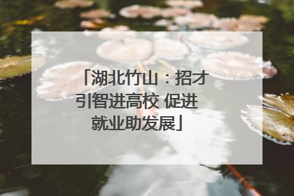 湖北竹山：招才引智进高校 促进就业助发展