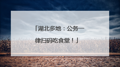 湖北多地：公务一律扫码吃食堂！