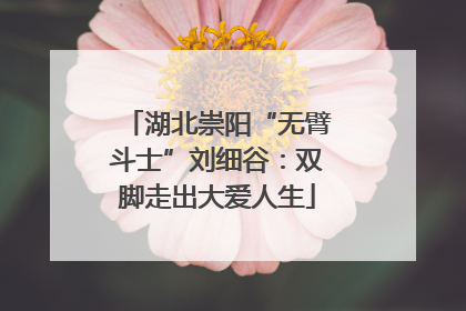 湖北崇阳“无臂斗士”刘细谷：双脚走出大爱人生