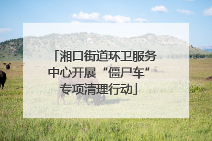 湘口街道环卫服务中心开展“僵尸车”专项清理行动