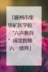 滕州市柴里矿区学校“六声教育”成果辉映六一盛典