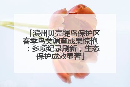 滨州贝壳堤岛保护区春季鸟类调查成果惊艳：多项纪录刷新，生态保护成效显著