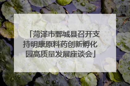 菏泽市鄄城县召开支持明康原料药创新孵化园高质量发展座谈会
