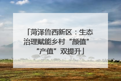 菏泽鲁西新区：生态治理赋能乡村“颜值”“产值”双提升