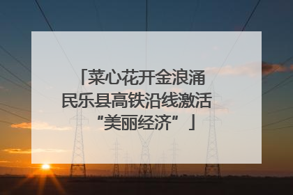 菜心花开金浪涌 民乐县高铁沿线激活“美丽经济”
