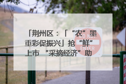 荆州区：「“农”墨重彩促振兴」抢“鲜”上市 “采摘经济”助农“甜蜜增收”