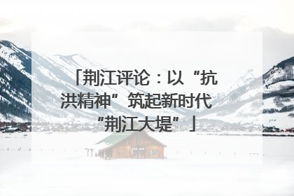 荆江评论：以“抗洪精神”筑起新时代“荆江大堤”