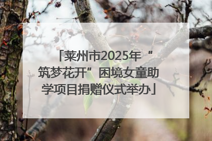 莱州市2025年“筑梦花开”困境女童助学项目捐赠仪式举办