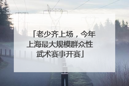 老少齐上场，今年上海最大规模群众性武术赛事开赛