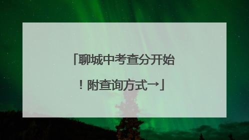 聊城中考查分开始！附查询方式→