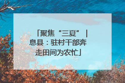 聚焦“三夏”｜息县：驻村干部奔走田间为农忙