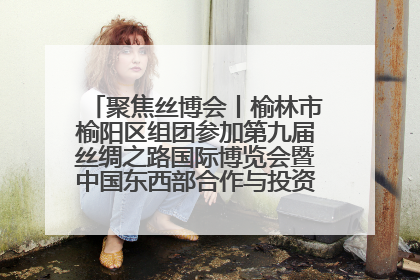 聚焦丝博会丨榆林市榆阳区组团参加第九届丝绸之路国际博览会暨中国东西部合作与投资贸易洽谈会