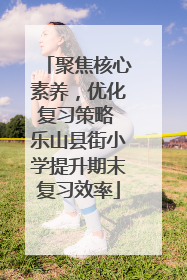 聚焦核心素养，优化复习策略 乐山县街小学提升期末复习效率