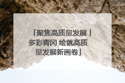 聚焦高质量发展丨多彩青冈 绘就高质量发展新画卷