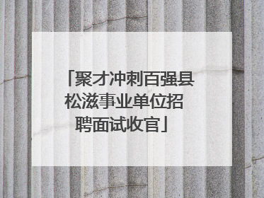 聚才冲刺百强县 松滋事业单位招聘面试收官