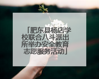 肥东县杨店学校联合八斗派出所举办安全教育志愿服务活动