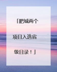 肥城两个项目入选省级目录！