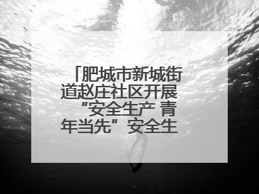 肥城市新城街道赵庄社区开展“安全生产 青年当先”安全生产月系列活动