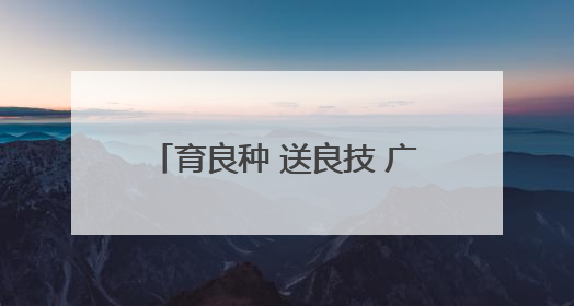 育良种 送良技 广元旺苍稻田插秧忙