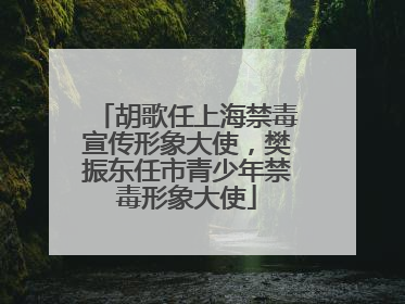 胡歌任上海禁毒宣传形象大使，樊振东任市青少年禁毒形象大使