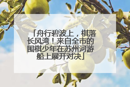 舟行碧波上，棋落长风湾！来自全市的围棋少年在苏州河游船上展开对决