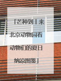 芒种到丨来北京动物园看动物们的夏日纳凉图鉴