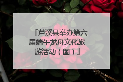 芦溪县举办第六届端午龙舟文化旅游活动（图）