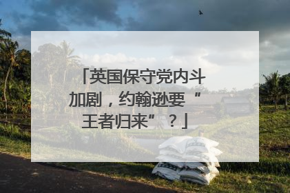 英国保守党内斗加剧，约翰逊要“王者归来”？