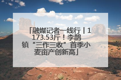 融媒记者一线行丨1173.53斤！李鹊镇“三作三收”首季小麦亩产创新高