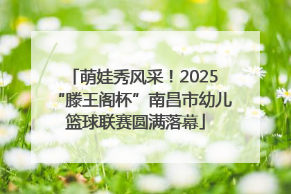 萌娃秀风采！2025“滕王阁杯”南昌市幼儿篮球联赛圆满落幕
