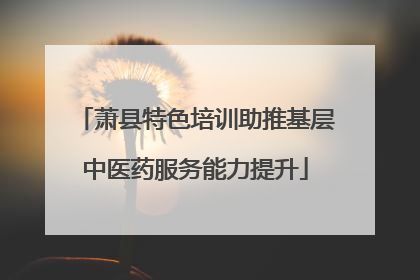 萧县特色培训助推基层中医药服务能力提升