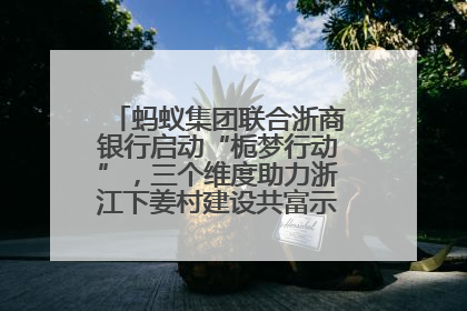 蚂蚁集团联合浙商银行启动“栀梦行动”，三个维度助力浙江下姜村建设共富示范区示范点