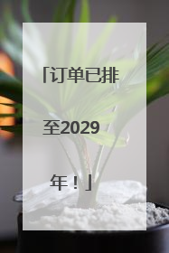订单已排至2029年！