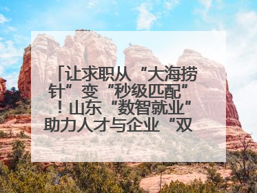 让求职从“大海捞针”变“秒级匹配”！山东“数智就业”助力人才与企业“双向奔赴”