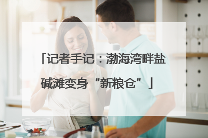 记者手记：渤海湾畔盐碱滩变身“新粮仓”